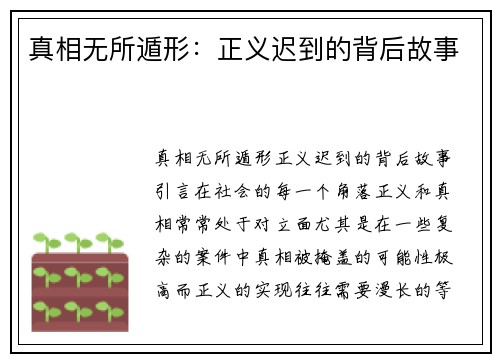 真相无所遁形：正义迟到的背后故事