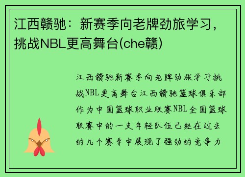 江西赣驰：新赛季向老牌劲旅学习，挑战NBL更高舞台(che赣)