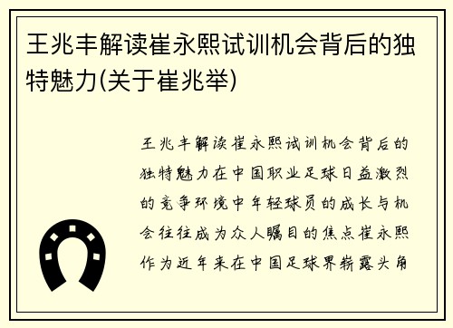 王兆丰解读崔永熙试训机会背后的独特魅力(关于崔兆举)